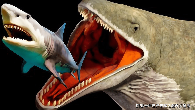 马里亚纳海沟:脚印与牙齿的秘密 马里亚纳海沟:脚印与牙齿的秘密