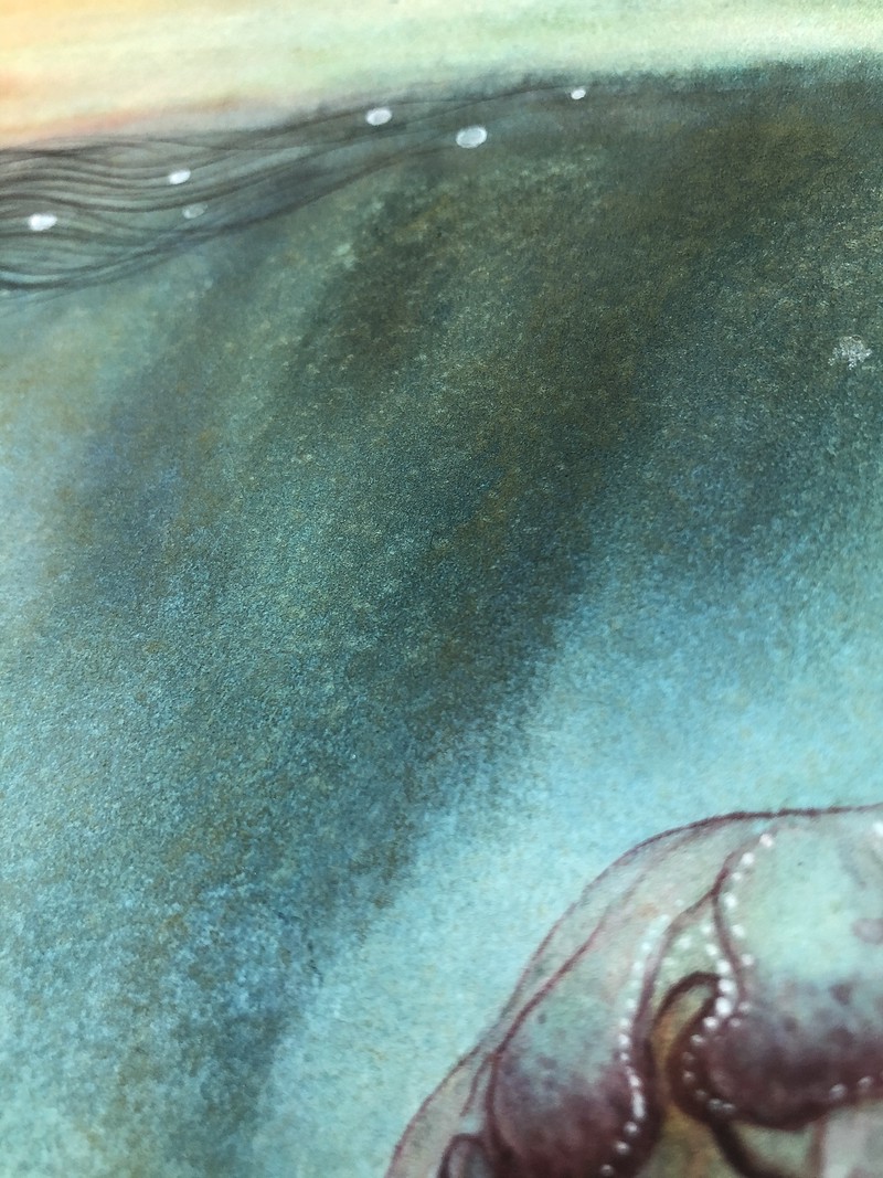 鲛人传说｜泪珠成珠的浪漫背后，藏着怎样的海洋秘密？