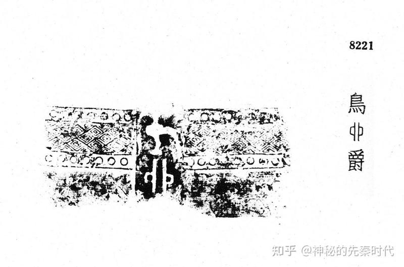 极地冰穹下的鸟群与神秘石板铭文