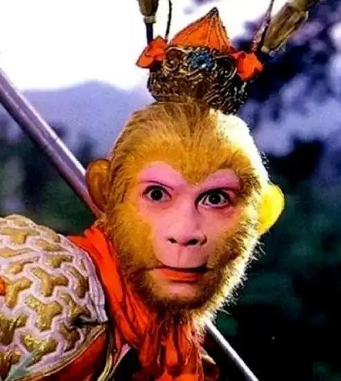 雾峰村的“老马猴”｜那晚我看见了不该看的东西