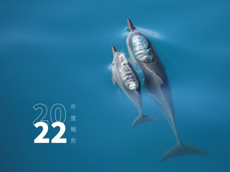 黑海深处，真的有“幽灵船”在游荡？