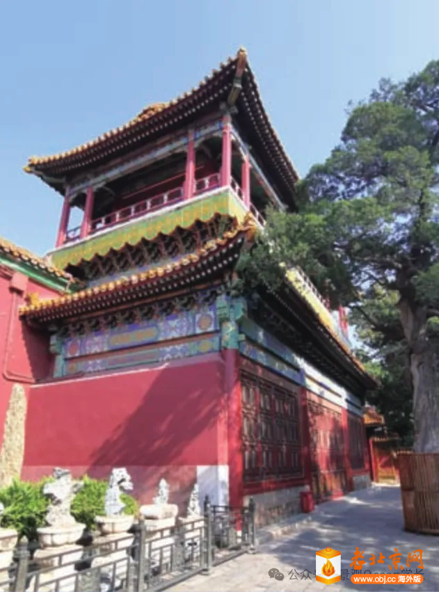 御花园里的老槐树与那个不走的园丁？