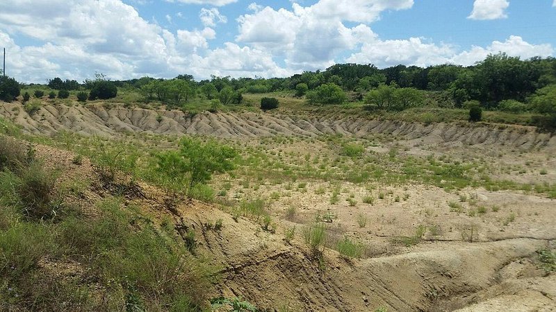 神秘的天空幽灵—沼泽的秘密 神秘的天空幽灵—沼泽的秘密