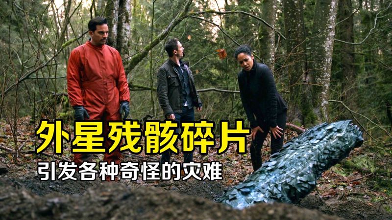 沙漠深处的秘密|透明人宇航残骸的谜团 沙漠深处的秘密|透明人宇航残骸的谜团