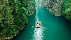 深圳爱情故事2雏菊之恋·霓虹下的秘密花语