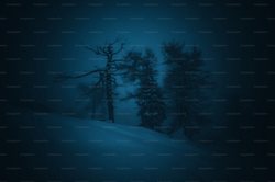 雪山暗夜精灵的神秘祭祀—一场与自然的古老对话