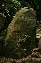 神秘亚马孙丨石像残件地光背后的秘密