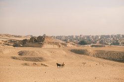 沙漠里的玫瑰与铁皮屋！