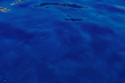 太平洋目击曼德拉效应｜那些被记忆篡改的真相