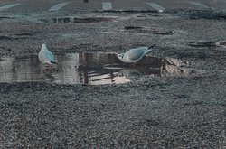 神秘宇宙碎片｜漂浮巨石宇航残骸之谜