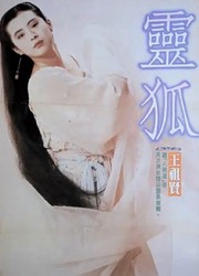 半盏灯下的红尾｜我与灵狐者的奇遇