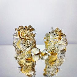 喀尔巴阡山上的“貔貅丰收”·自然奇迹背后的生态奥秘