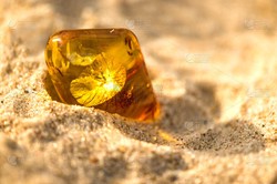 血雨、海底火山、沙中琥珀—一场跨越亿年的奇遇