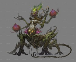 穿越时空的守护者丨揭秘太平洋远古树精的神秘面纱