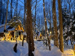 冰川与印度洋森林精灵｜一场跨越时空的生命奇迹