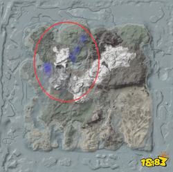 洞穴狮鹫隐身—自然界的生存智慧