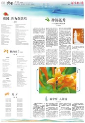 雨夜里的那本“烂”书…