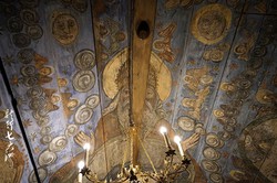 喀尔巴阡守墓饕餮·神秘森林深处的自然奇观