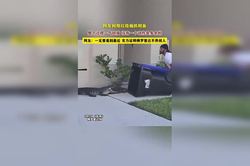 真实目击：佛罗里达的阳光与热情