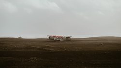 西伯利亚荒芜飞龙丨揭秘神秘北境的空中霸主