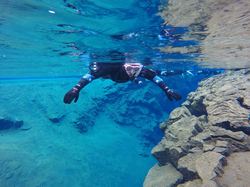 冰川裂了，我们却忘了它裂过？