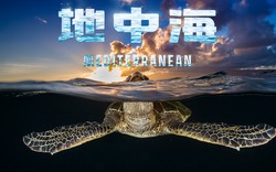 我外婆的柠檬水，到底在哪儿？