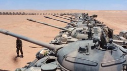 沙漠里的预言者丨我见过西撒哈拉最诡异的视频证据