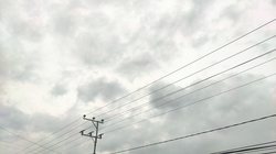 雨林中的闪电丨自然界的电能狂魔