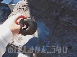 那些在博物馆角落里沉睡的钟声…