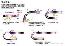 大西洋DNA修改档案—科技与自然的博弈