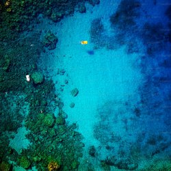 南美深潜者谜团·地球最神秘的角落究竟隐藏着什么？