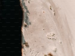 百慕大巨响背后的神秘鳞片之谜！