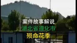 那年夏天，玉米地里的娘？