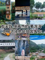 昆仑水马迷宫丨神秘高原上的生命奇迹