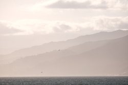 太平洋上空的闪电奇观—雷电与海洋生态的共舞