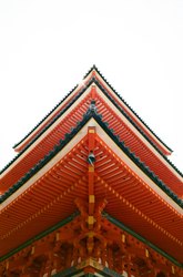 巴布亚日本龙三角调查：神秘现象背后的真相？