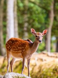 海蚀洞里的纸人偶·符号与大海的神秘对话