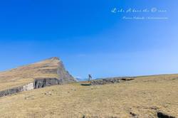 在未知的深海，寻找回家的路标…