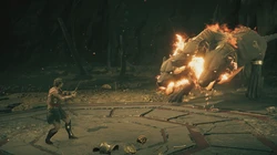 安第斯航海三头犬？这名字听起来像科幻小说，其实是个误会！