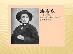 法布尔与他的昆虫王国？