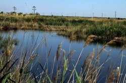 罗布泊双环印｜大地的神秘回声