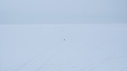 揭秘西伯利亚航海中的神秘光之精灵！