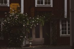 在光影交错的斯堪的纳维亚·每个瞬间都是目击证词