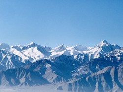 血手印前的鸟群之谜？