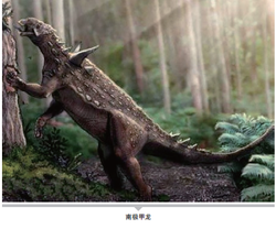 南极海底的“发光地龙”·当冰原之下，上演一场赛博朋克式的生命秀