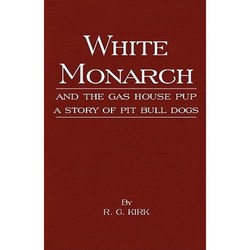 月光下的守护者—乡村狗的故事