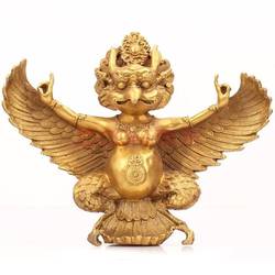 西方金翅大鹏｜迁徙之谜背后的自然奇迹