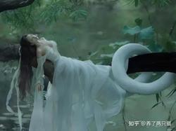 南极的天空·一场冰与火的奇幻之旅