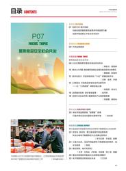 承安巷的烟火与那碗未凉的面…