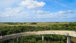 航路沼泽克拉肯丨中生代巨兽的秘密